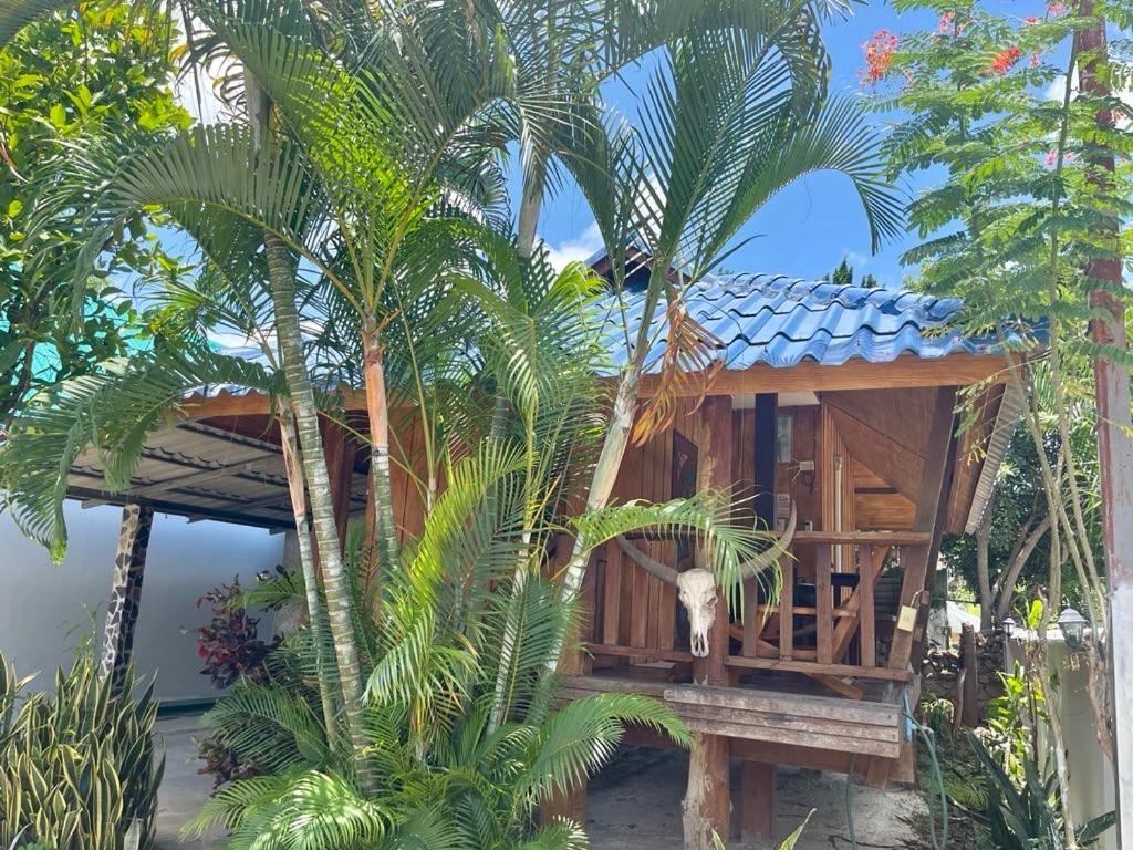 Lungsonhouse Holiday home *